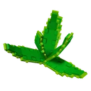 Aloe Vera image