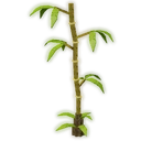 Bamboo Tree image