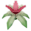 Banana Orchid image