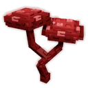 Bloodred Mushroom image