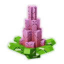 Blooming Cactus image