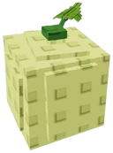 Cantaloupe image