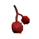 Cranberry image