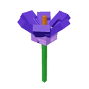 Crocus image