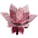 Cyclamen image