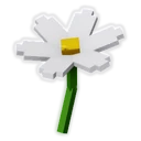 Daisy image