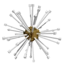 Dandelion image