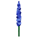 Delphinium image