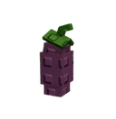 Eggplant image
