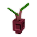 Evo Beetroot image