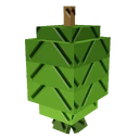 Feijoa image