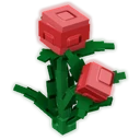 Fissure Berry image