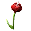 Horned Redrose image
