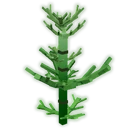 Horsetail image