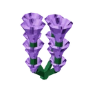 Lavender image