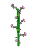 Lilac image