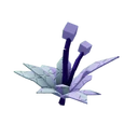 Lotus image