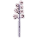 Luna Stem image