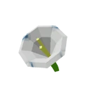 Moonflower image