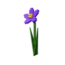 Nightshade image
