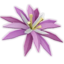 Paradise Petal image