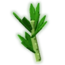 Parsley image