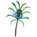 Peacock Tail image