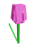Pink Tulip image