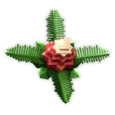 Pollen Cone image