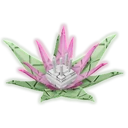 Protea image
