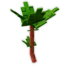 Rhubarb image