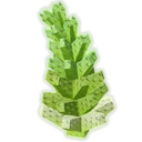 Romanesco image