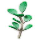 Saskia image