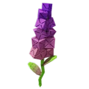 Sugar Snapdragon image