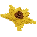 Suncoil image
