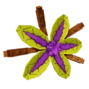 Suncrest Orchid image