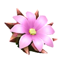 Thornspire image