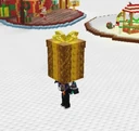 Presents image