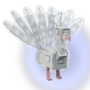 Albino Peacock image