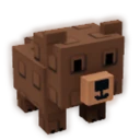 Grizzly Bear image