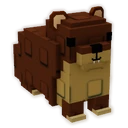 Hyrax image