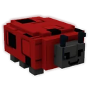 Ladybug image