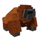Orangutan image