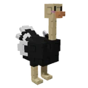 Ostrich image