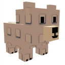 Polar Bear image