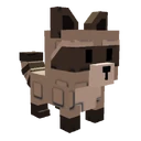 Raccoon image