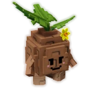 Seedling image