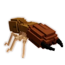 Termite image